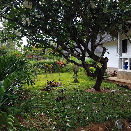 Karibuni Jeds Villas 85 & 86 Mambrui Exterior foto